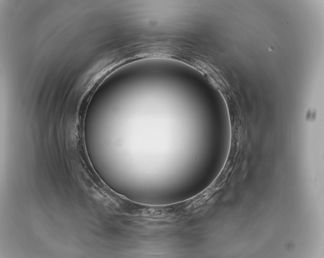 X0000091910338200709051423