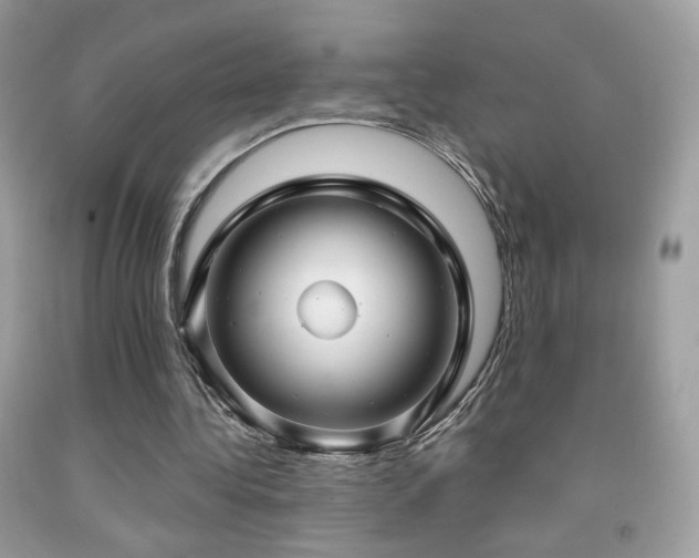 X0000091910340200709051423