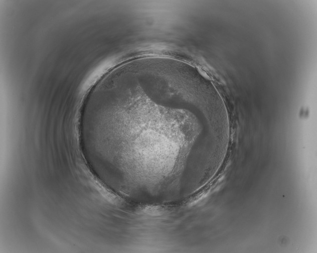 X0000091910341200709051423