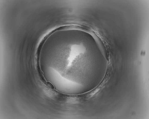 X0000091910342200709051423
