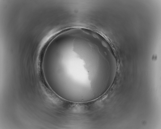 X0000091910343200709051423
