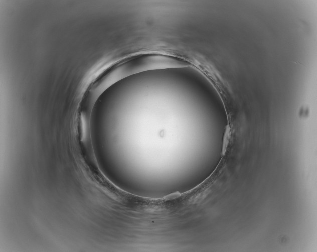 X0000091910344200709051423