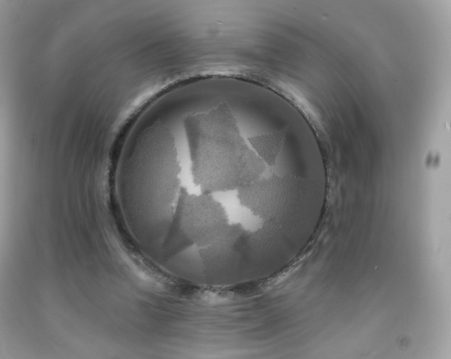 X0000091910346200709051423