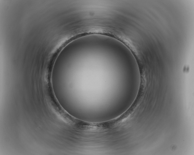 X0000091910347200709051423