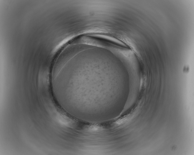 X0000091910348200709051423