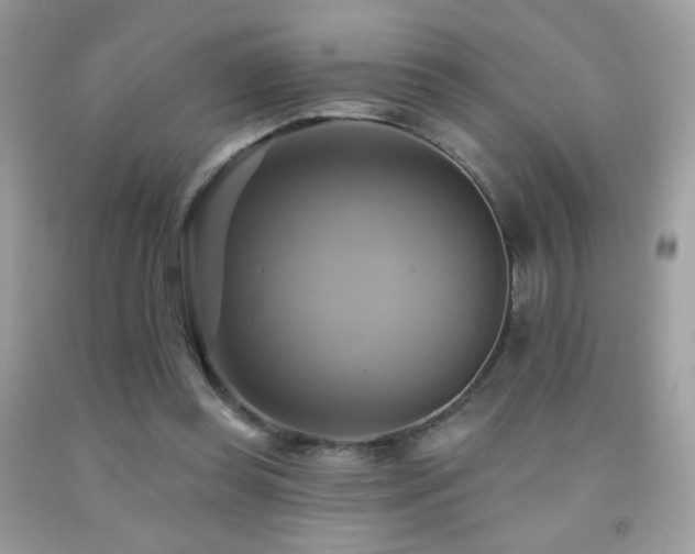 X0000091910349200709051423