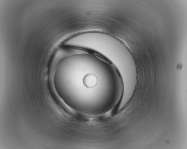 X0000091910350200709051423