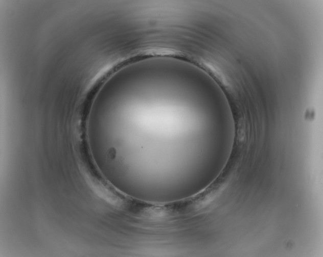 X0000091910351200709051423
