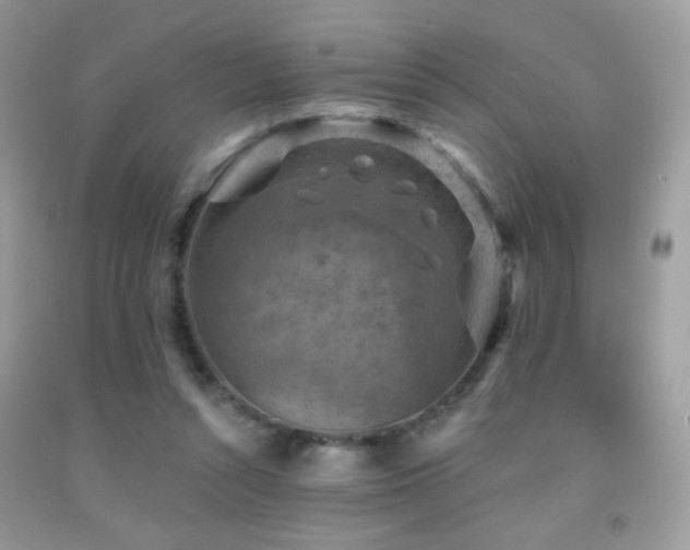 X0000091910352200709051423