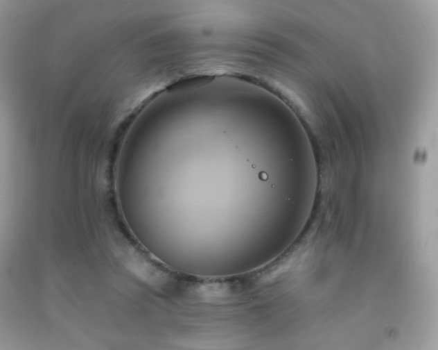X0000091910353200709051423