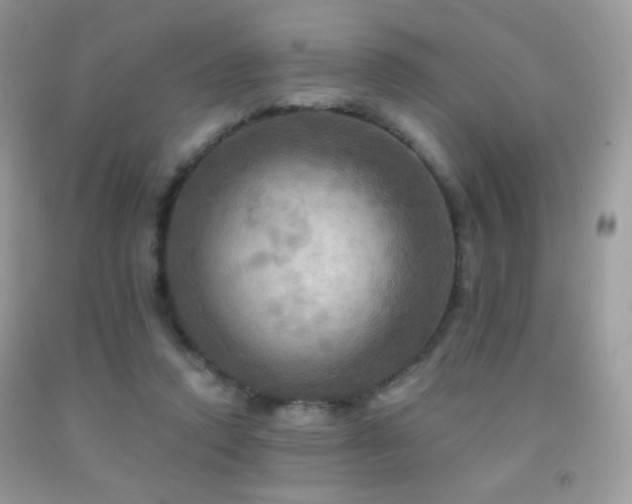 X0000091910354200709051423