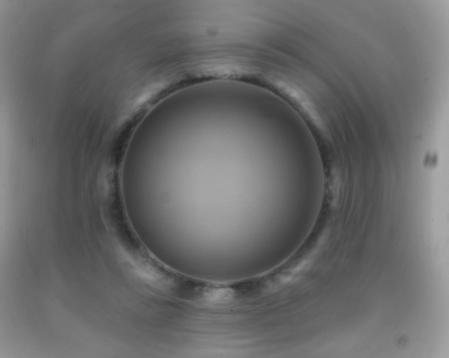 X0000091910355200709051423