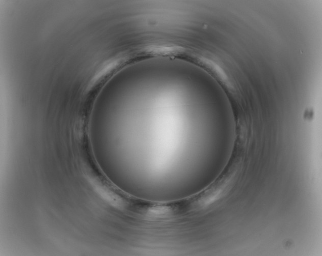 X0000091910357200709051423
