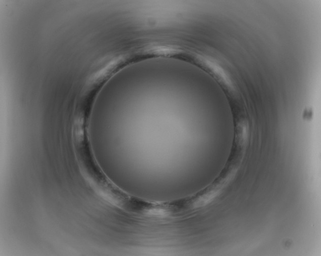 X0000091910358200709051423