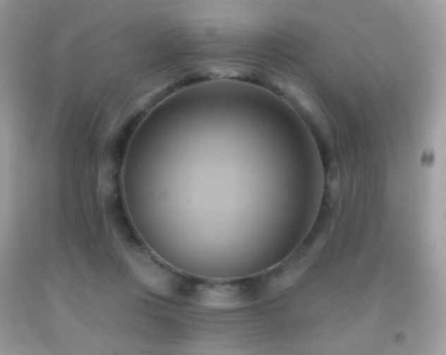 X0000091910359200709051423