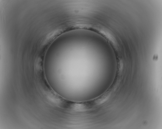 X0000091910361200709051423