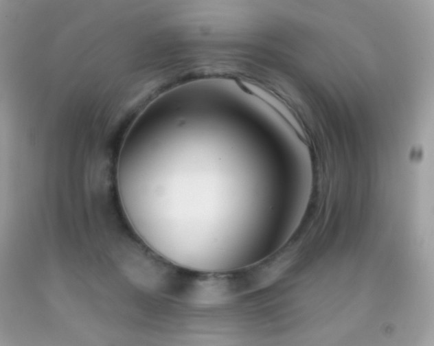 X0000091910362200709051423