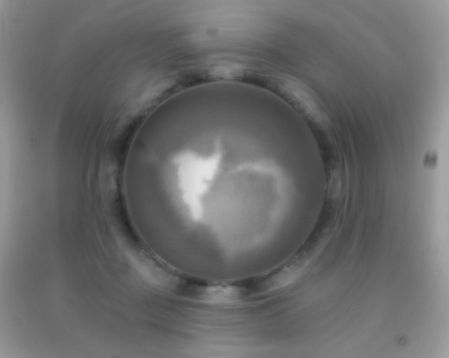 X0000091910363200709051423