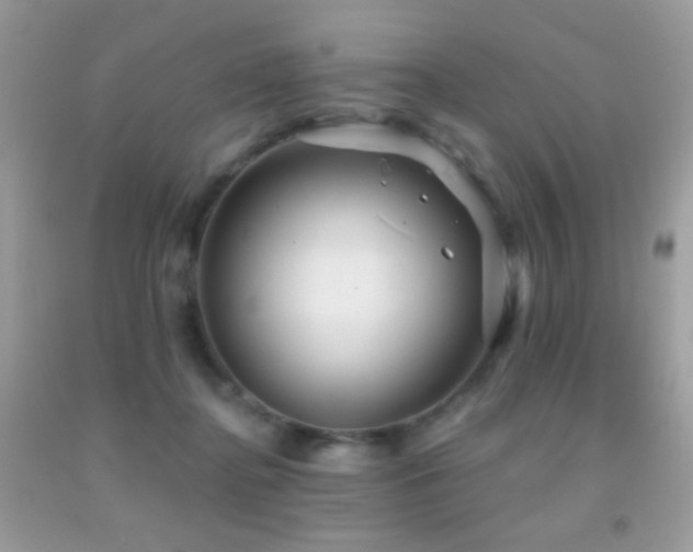 X0000091910364200709051423