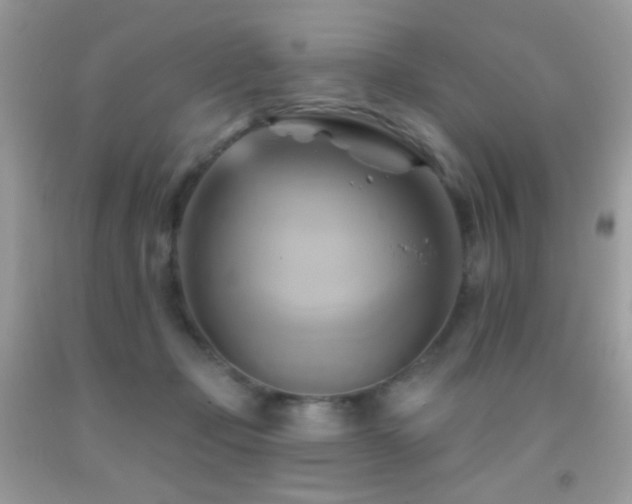 X0000091910365200709051423