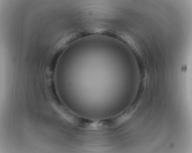 X0000091910366200709051423