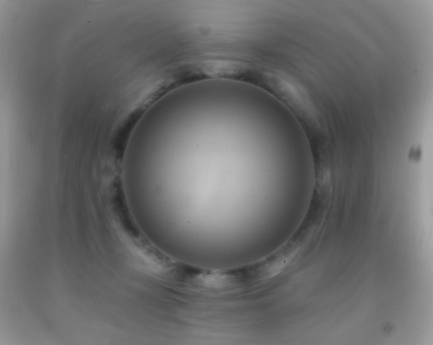 X0000091910367200709051423
