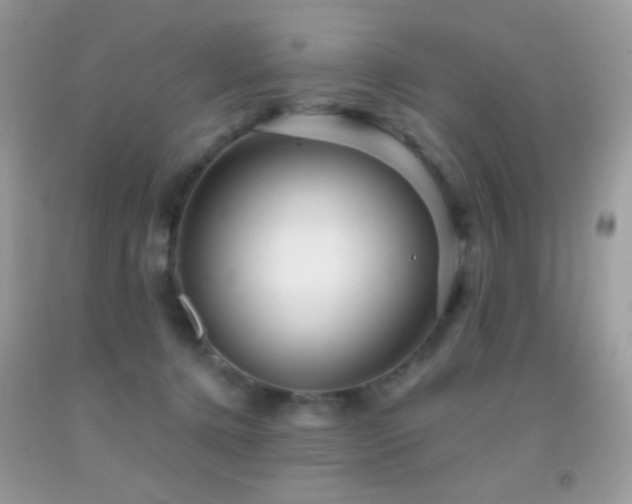 X0000091910368200709051424