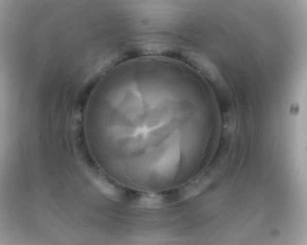 X0000091910369200709051424