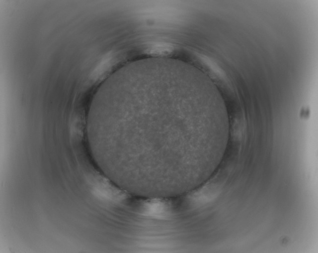 X0000091910370200709051424
