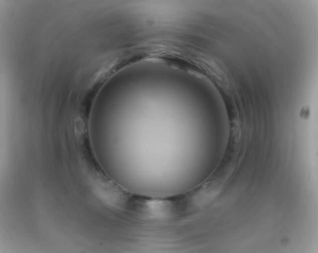 X0000091910371200709051424