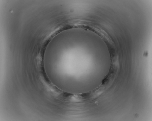 X0000091910372200709051424