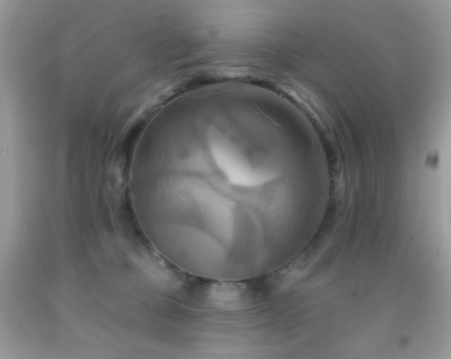 X0000091910373200709051424