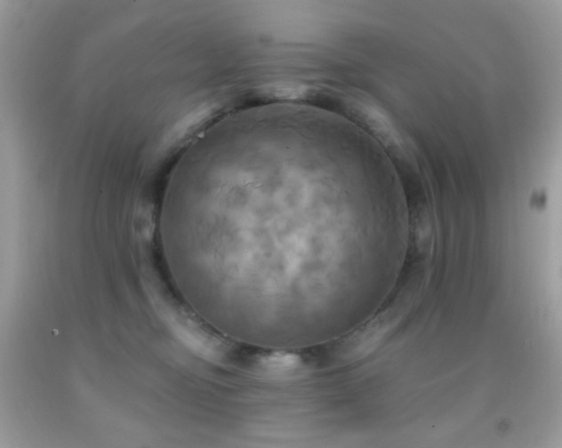 X0000091910374200709051424