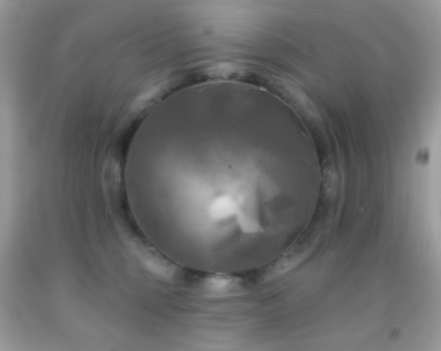 X0000091910375200709051424