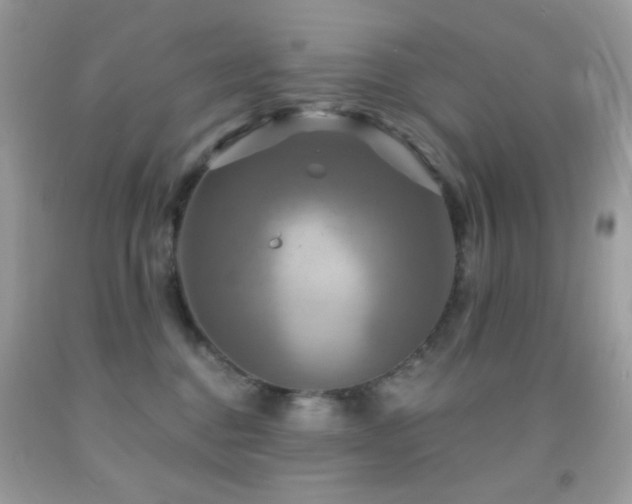 X0000091910376200709051424