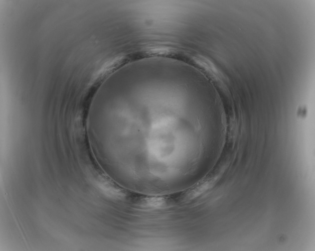 X0000091910377200709051424