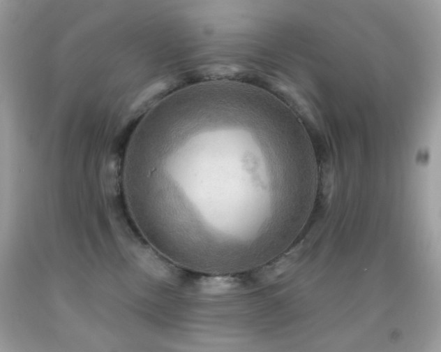 X0000091910378200709051424