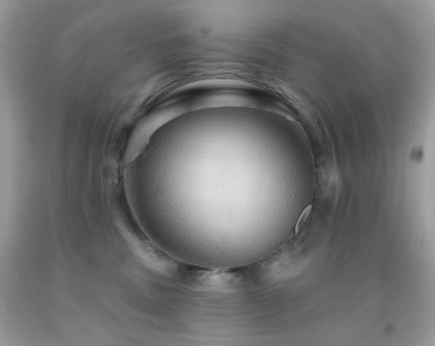 X0000091910379200709051424