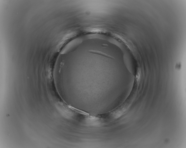 X0000091910380200709051424