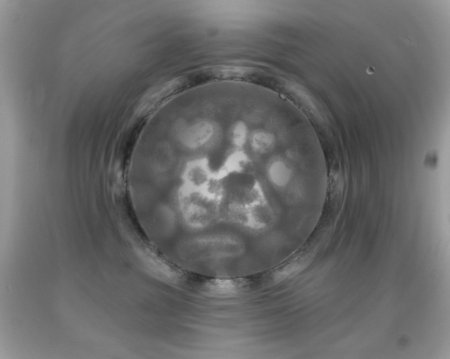 X0000091910381200709051424