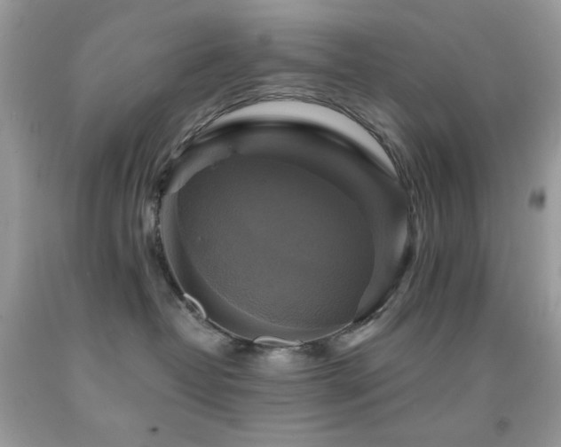 X0000091910382200709051424