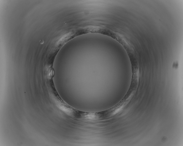 X0000091910383200709051424
