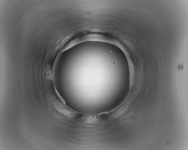 X0000091910384200709051424