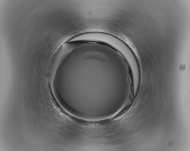 X0000091910385200709051423