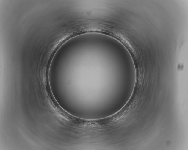 X0000091910386200709051423