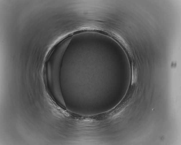 X0000091910387200709051423