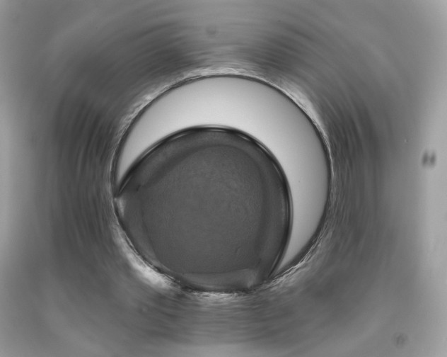 X0000091910389200709051423