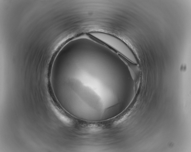 X0000091910390200709051423