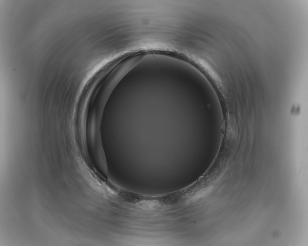 X0000091910391200709051423