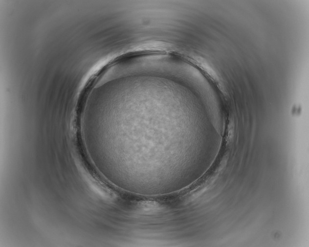 X0000091910392200709051423